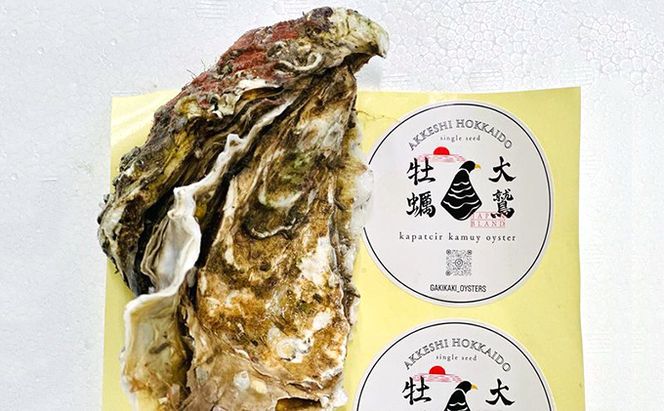 北海道 厚岸産 大鷲牡蠣 10個 カキ 牡蠣 殻牡蠣 魚貝類 海鮮 海の幸 生牡蠣 カキえもん 生食用牡蠣 殻付かき つまみ お酒のあて 