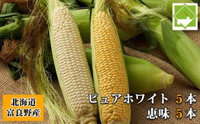 【2026年夏発送】とうもろこし 2種類セット 10本入 生で食べれる ピュアホワイト＆恵味