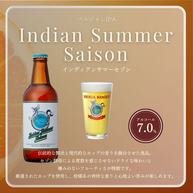 定期便 3ヶ月 志賀高原ビール12本セット 【 クラフトビール 志賀高原ビール 飲み比べセット 玉村本店 ビール 詰め合わせ セット 地ビール 飲み比べ 黒ビール IPA ipa ペールエール 酒 お酒 長野 定期 お楽しみ 3回 】 