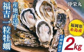 【加熱用】一粒牡蠣 カキ 2kg (牡蠣ナイフ付き) 糸島産 福吉 糸島市 / 伸栄丸 カキの佐々木 牡蠣 生カキ 生食用 殻付き カキ 生牡蛎[ATH001]