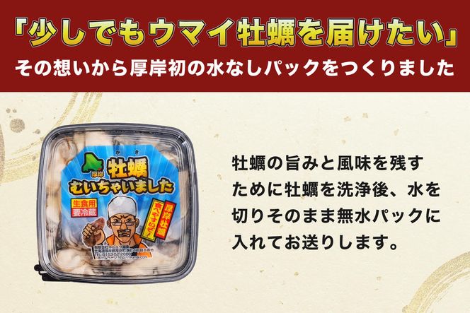 厚岸産 むいたよ！ ダブルえもん 100g×2パック 牡蠣 牡蠣のむきみ むき牡蠣 北海道 食べ比べ セット