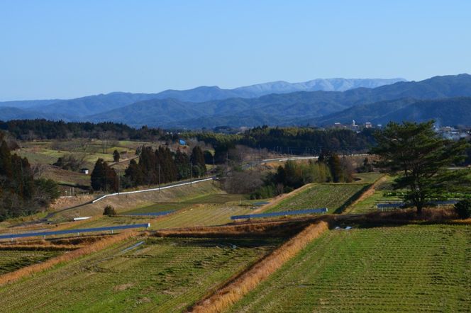 【3回定期便】令和6年産こしひかり（精米）　5kg×3回     離島不可（北海道、沖縄本島は配送可能） ※お申し込みから14日以内に発送