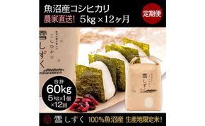 米 定期便 12ヶ月 コシヒカリ 5kg 精米 白米 お米 魚沼産コシヒカリ  新潟米 新潟 十日町市 定期 12回