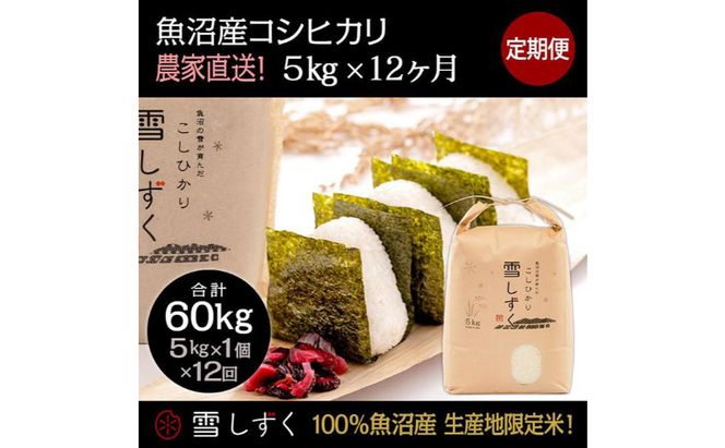 米 定期便 12ヶ月 コシヒカリ 5kg 精米 白米 お米 魚沼産コシヒカリ  新潟米 新潟 十日町市 定期 12回