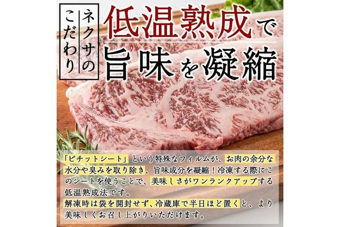 おおいた和牛 サーロインステーキ (計400g・サーロインステーキ約200g×2枚+ステーキソース20g×2袋) 国産 牛肉 肉 霜降り 低温熟成 ステーキ A4 和牛 ブランド牛 BBQ 冷凍 大分県 佐伯市【DH62】【(株)ネクサ】