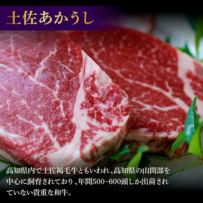 土佐和牛特選ヒレ肉200ｇ 特製ソース２種類付【ステーキ用】【株式会社松尾】 [BQBL001]