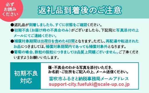 【2026年発送★先行予約】笛吹市産白桃　1箱2kg程度 229-006-26y