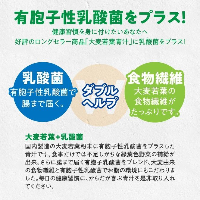 （訳あり）有胞子性乳酸菌が入った大麦若葉粉末 3g×154包［027Y17］訳あり 青汁 大麦若葉 粉末 3g 154スティック 山本漢方製薬 国内製造 緑黄色野菜 補充 有胞子乳酸菌 食物繊維 健康習慣 腸内環境 常温 ドリンク 野菜飲料 飲み物 小分け 簡易包装 お取り寄せ 愛知県 小牧市 送料無料