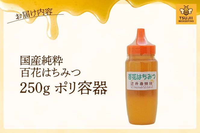 【国産純粋 百花はちみつ 250g ポリ容器】国産 純粋 百花 はちみつ ハチミツ 蜂蜜 紅茶 パン ヨーグルト おすすめ 兵庫県 香美町 辻井養蜂場 81-02