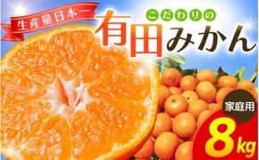 【2026年1月発送予約分】【家庭用】【農家直送】こだわりの有田みかん 約8kg＋250g(傷み補償分)有機質肥料100%【2026年1月発送】※北海道・沖縄・離島配送不可【nuk100-01】