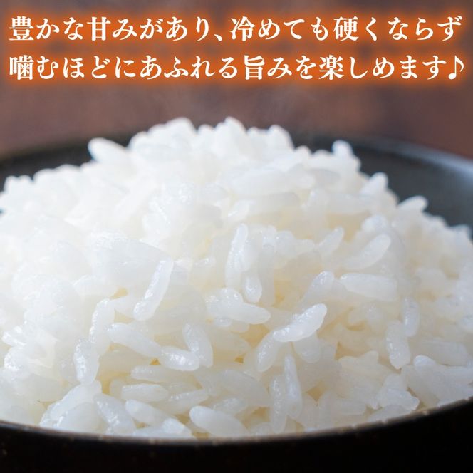 ★新米 令和7年産★ 米 5kg 白米 「とちぎの星」 山﨑観光農園 栃木県 益子町 ふるさと納税 お米 とちぎの星 白米 精米 5キロ 令和7年産 (AU023)