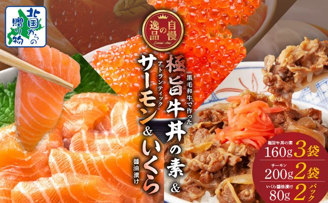 020C428 【自慢の逸品3セット】アトランティックサーモン 200g×2P ＆ イクラ醤油漬け 80g×2P ＆ 黒毛和牛 極旨 牛丼の素 160g×3袋【食べ比べ 小分け 時短 簡単便利 つまみにもオススメ 北国からの贈り物】