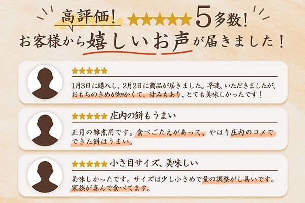 【R9.3月発送】庄内町産 杵つき餅 380g×5袋 『特別栽培米 でわのもち』使用 先行受付 柔らかく よく伸びる 梅木もち屋 個包装 小さめ 自家栽培 でわのもち ヨーグルト農法 杵つき 丸もち お餅 丸餅 餅【入金期限：2027年3月15日】