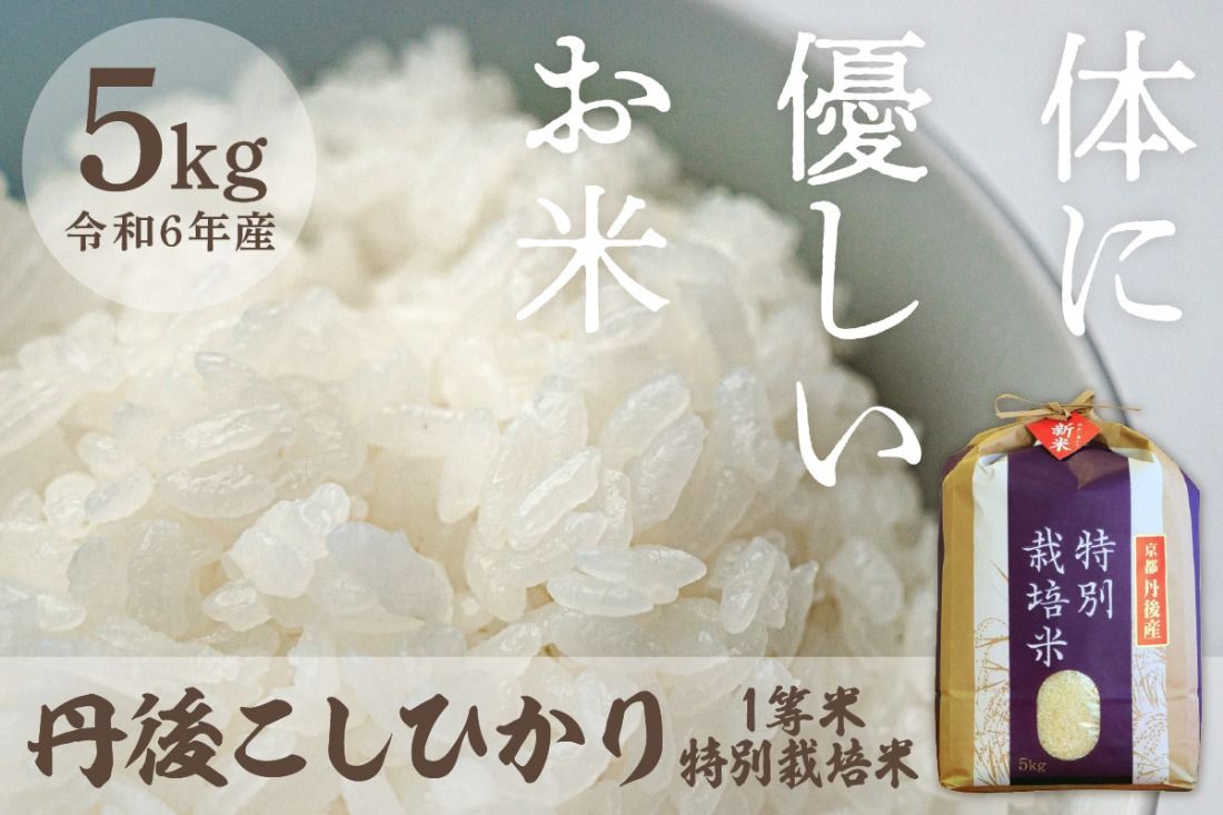 令和6年産 丹後こしひかり 特別栽培米 5kg 西日本最多特A獲得★ 大正初期創業の老舗米商店が厳選した一等米をお届け★ 白米 コシヒカリ