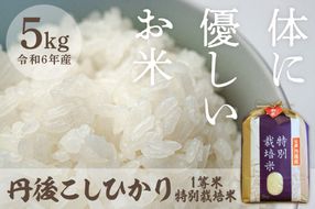 令和6年産 丹後こしひかり 特別栽培米 5kg　西日本最多特A獲得★ 大正初期創業の老舗米商店が厳選した一等米をお届け★ 白米 コシヒカリ　MU00044