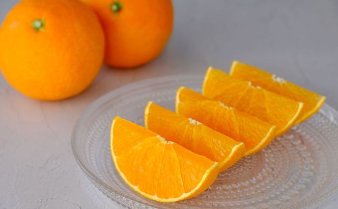 yQɕzys\zyʌz__^QYƂ3kg×1i2026N2{菇j IKTV007