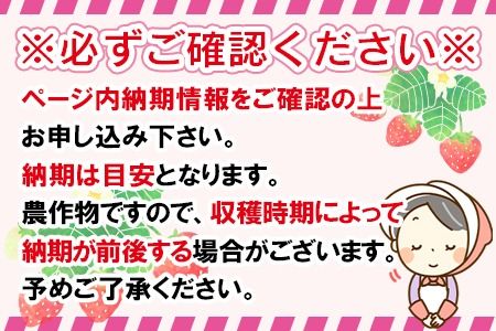 ＜高級いちご「おおきみ」冷凍いちご　1kg＞2025年1月下旬から順次出荷【 果物 くだもの いちご イチゴ 苺 大粒 朝どれ 朝獲れ 産地直送 お菓子づくり お菓子作り 材料 冷凍いちご 冷凍苺 冷凍イチゴ 】【b0904_sn】