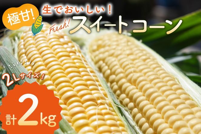 y茧szAJ454yߘa8Nxoוz Ƃ낱 XC[gR[ CG[ 2kg 5{ 2LTCY [ gERV R[ S[hbV  2L  SAKAI FARM 茧 s ]