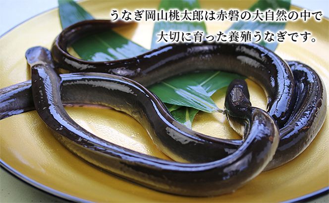 味心逆瀬川 うなぎ 料理 お食事券 (10,000円分)＋ 室町酒造 お買物券 (5,000円分) セット 1枚 お酒 日本料理 和食 