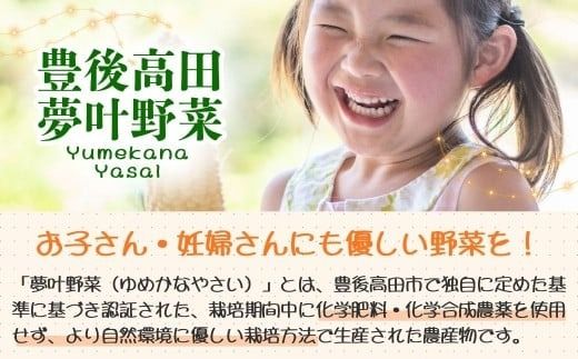 野菜 季節の野菜 詰め合わせセット (野菜6～8品目)【先行予約・2月～3月にお届け】夢叶野菜ボックス | 新鮮 産地直送 旬 国産 葉物 根菜 おすすめ 人気 野菜詰め合わせ 野菜セット 春野菜 夏野菜 秋野菜 葉物 果物 果菜 根菜 冷蔵 野菜室 さつまいも じゃがいも にんじん かぼちゃ だいこん 玉ねぎ キャベツ ブロッコリー ほうれんそう 送料無料 豊後高田市 [162453bt1]
