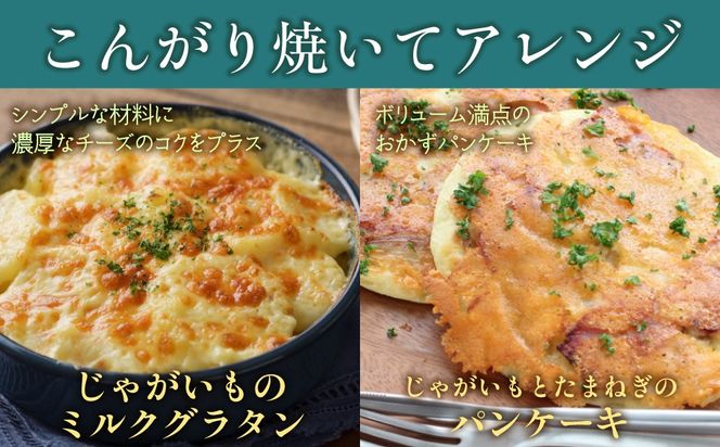 よつ葉北海道十勝　3種のチーズ《濃厚コク旨ブレンド》12袋【選べる回数】1回 / 毎月3回 / 隔月3回 / 3カ月毎3回 / 毎月4回 / 隔月4回 / 3カ月毎4回 / 隔月6回 / 定期12ヵ月 【 ふるさと納税 人気 おすすめ ランキング よつ葉 乳製品 贈答 プレゼント 贈り物 ギフト ごほうび セット 北海道産 十勝産 北海道 鹿追町 送料無料 】 SKA066-v