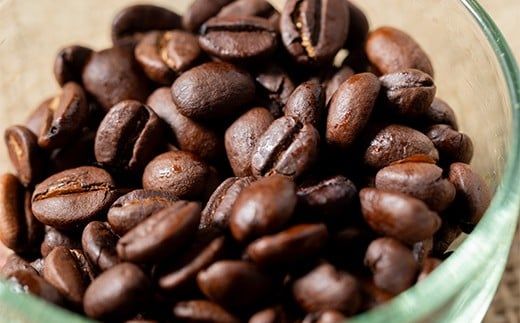 【定期便】雪町コーヒー 豆（100g）3個セット×6回 自家焙煎 低温貯蔵 エチオピア 北海道 沼田町 n-0118