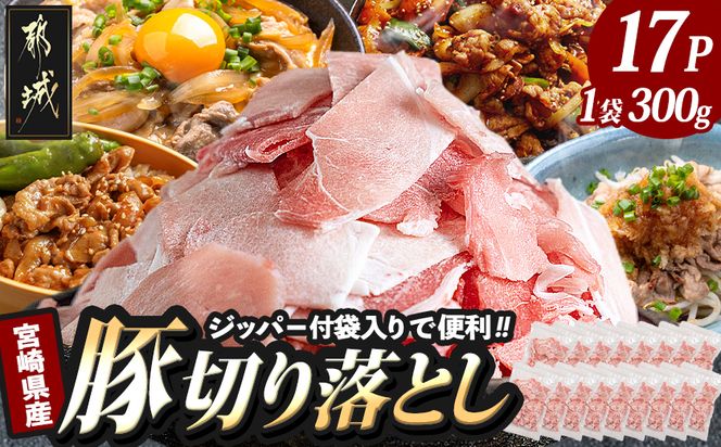 宮崎県産豚切り落とし5.1kg(ジッパー付袋入り)_18-1507