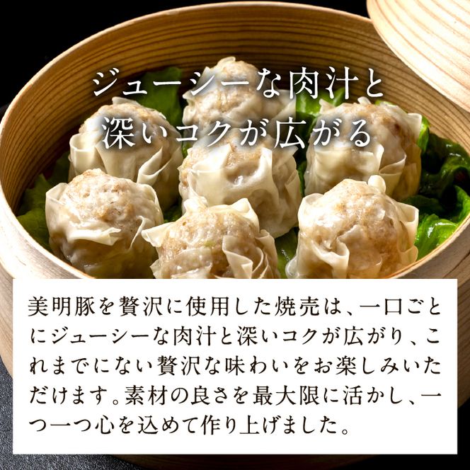 【2026年5月中旬より順次発送】焼売 美明豚「びめいとん」のジューシー焼売2パック（30g×20個×2袋）｜シュウマイ 焼売 美明豚 びめいとん 肉 肉加工品 豚肉 お肉 ジューシー 茨城県 行方市(HJ-1-1)