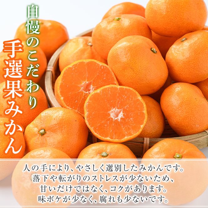 ＜先行予約受付中！2026年10月中旬以降順次発送予定＞ 訳あり！鹿児島県産手選果みかん(計10kg) 国産 柑橘 果物 フルーツ ご家庭用 サイズ 不揃い【三笠農業生産】akn051-11