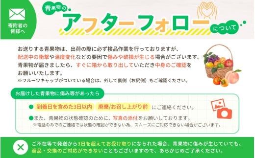 紀州和歌山県産 熟南高梅 生うめ 優品 約３kg (S、Mサイズおまかせ)+3%増量＜2027年6月下旬～7月上旬発送予定＞/ 梅干し 梅酒 ウメシロップ ジュース ジャム他 紀州熟南高梅 青梅 黄梅 朝採り フルーツ 果物 くだもの 食品 人気 おすすめ 【クール便送料無料】【art043】