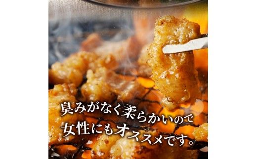 居酒屋さ蔵 牛シマチョウ300g×10袋 北海道 みそ 味噌 焼肉 ホルモン 濃厚 BBQ セット