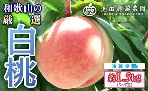 白桃 約1.5kg（5～7玉）和歌山県産 厳選 化粧箱入り ｜ 白鳳・清水白桃・川中島・もも・はくとう【化粧箱入り】 ※北海道・沖縄・離島への配送不可 ※2026年7月上旬～7月下旬頃に順次発送予定