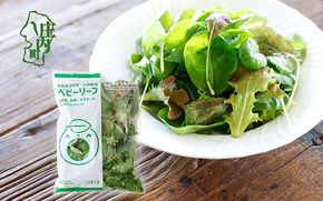 庄内産 ベビーリーフミックス 70g×1袋 土耕栽培 サラダ スムージー 若葉 野菜 生野菜 新鮮 山形県 冷蔵