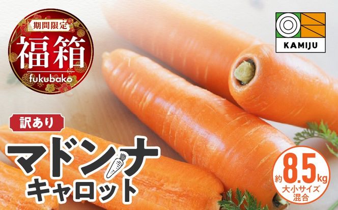 ＜フジテレビ『どっちのふるさと？』で紹介されました！＞ 福箱★2026 訳あり 野菜 にんじん マドンナキャロット 8.5kg 大小サイズ混合 国産 不揃い こどもも食べられる 甘み 料理 キャロット ジュース 野菜ジュース 福袋 愛知県 碧南市 お取り寄せ 送料無料 H105-168
