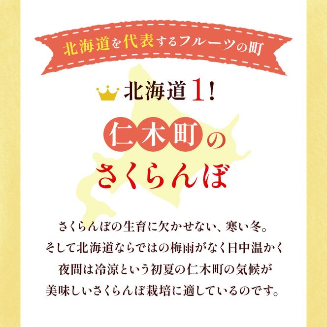 先行受付 北海道 仁木町産 さくらんぼ 佐藤錦 1kg（500g×2）Lサイズ以上 ジューシー 旬のフルーツ 旬の果物 国産 日本産 サクランボ チェリー フルーツ 果物 果物類 ギフト 仁木町 [ジャパーナプランニング株式会社]