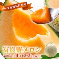 【先行予約】富良野メロン 赤肉 大玉 1玉（2.2kg以上）北海道 ふらのメロン フルーツ 果物 2027年発送