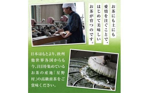 6回 定期便 お茶 煎茶 深蒸し高級煎茶 茶葉 100g 2袋 [ベネフィス 福岡県 宇美町 um40azp190007] 深蒸し茶 緑茶 日本茶 八女 八女茶 奥八女星野村