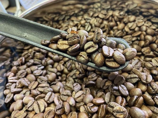 [やいたブランド認証品] 自家焙煎珈琲豆 YAITA BLEND《TSUTSUJI》(シティロースト) 100g×3袋【粉でお届け】｜SAKURA黒猫堂 珈琲 焙煎 コーヒー豆 矢板市 やいたブランド