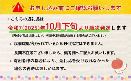 【先行予約丨2026年10月下旬より順次発送】シナノゴールド【約3kg (6〜12玉)】(At-014)丨長野県 飯山市 おすすめ ランキング おいしい 高評価 大人気 先取り 産地直送 りんご