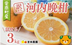数量限定 先行予約 訳あり 河内晩柑 3kg 5000円 お試し用 みかん わけあり かわちばんかん 愛南ゴールド あいなん ゴールド 夏 文旦 グレープフルーツ 和製 家庭用 少量 お試し 産地直送 国産 農家直送 期間限定 数量限定 ビタミン 健康 おいしい 特産品 ゼリー ジュース 人気 限定 さわやか 甘い フルーツ 果物 柑橘 mikan 蜜柑 ミカン 規格外 吉田農園 愛南町 愛媛県