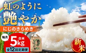 【先行受付】【全12回定期便】 にじのきらめき 白米 5kg 【2026年9月中旬以降順次発送】 糸島市産 糸島市 / 糸島の恵み コメ こめ ご飯[AGR017]