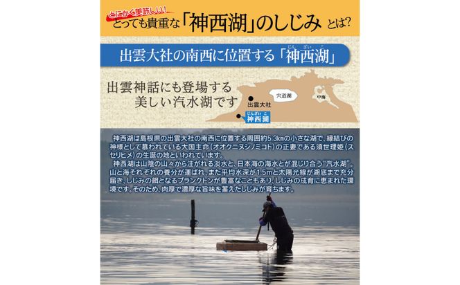 神西湖産冷凍大和しじみ　180ｇ×4Ｐ 322032_DL003