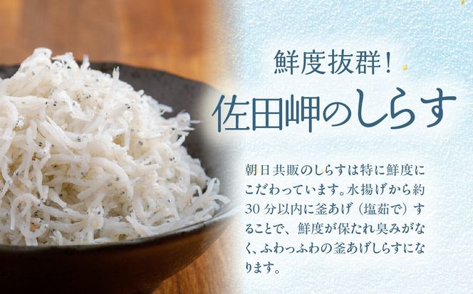 【佐田岬の味を網羅】佐田岬特選セット◇ IKTB021 