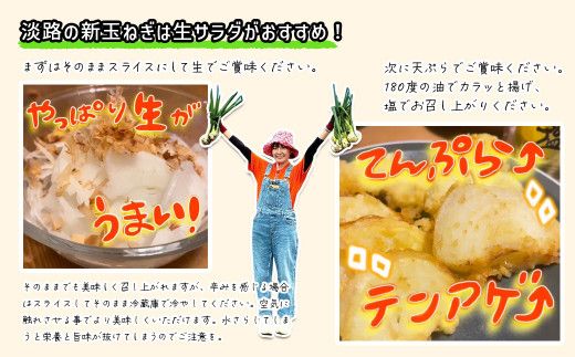 淡路島産ブランド新玉ねぎ 極早生 「にじたま」  10kgダンボール入り【発送時期2026年2月中旬～4月頃】