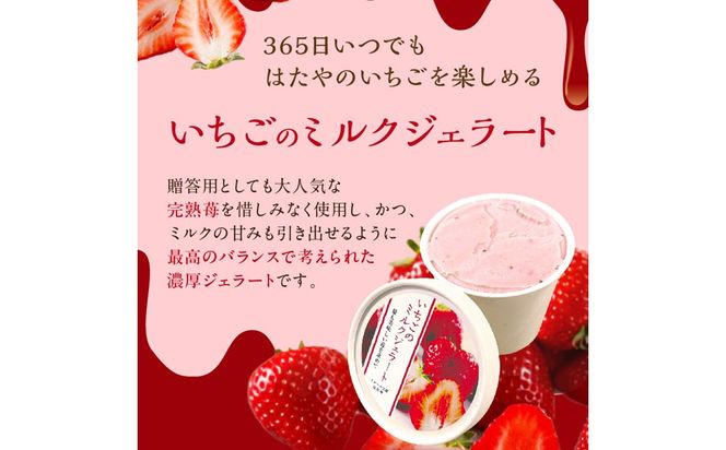 いちごミルクジェラート《 ジェラート アイス カップ いちご ミルク スイーツ 》【2501H09703】