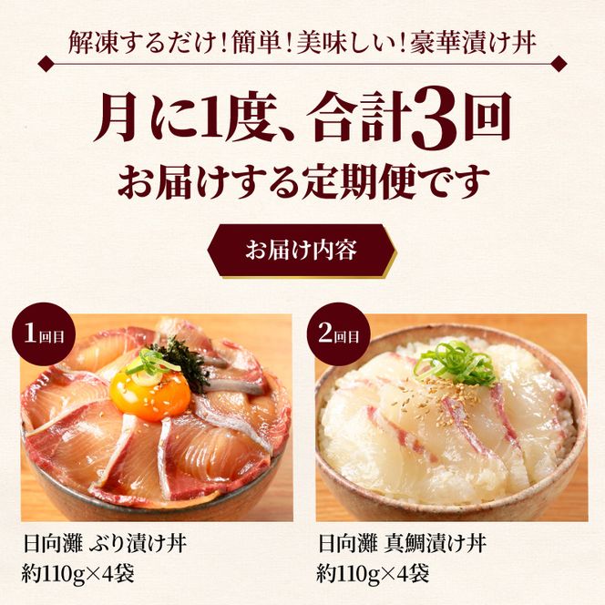 日向灘 海鮮丼 漬け丼 お魚の漬け丼 バラエティ3回定期便　N019-YC712
