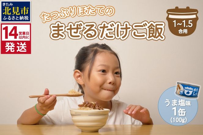 《14営業日以内に発送》たっぷりほたてのまぜるだけご飯 うま塩味 100g×1缶 ( ホタテ 帆立 加工品 ご飯 混ぜご飯 塩 簡単 レトルト 北海道 )【188-0003】