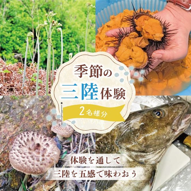 季節の三陸体験 体験チケット (2名様分/1体験) 三陸アクティブ 三陸 大船渡 体験 体験チケット チケット 夏休み 冬休み 春休み [active004]