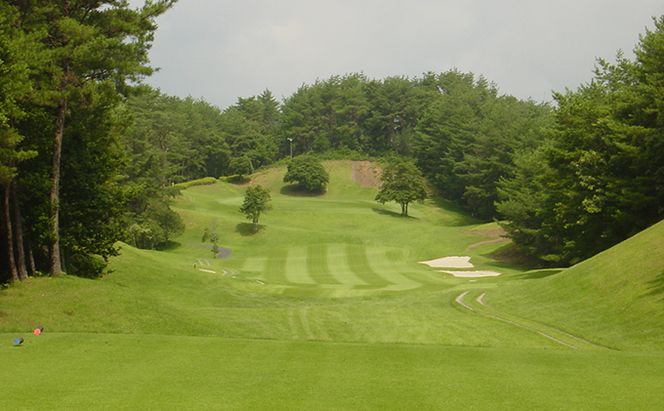 パインツリーゴルフクラブ 1名様土日祝日プレー無料優待券（昼食付） ゴルフ場 利用券 優待チケット 丘陵 林間 コース 松林 自然 戦略的 スポーツ 趣味 ビジネス 社会人 