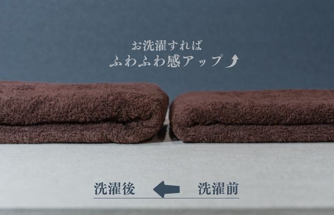 015B479 スーピマバスタオル 2枚（ブラウン）【国内製造 日本製 泉州タオル スーピマコットン 無地 吸水力 耐久性】